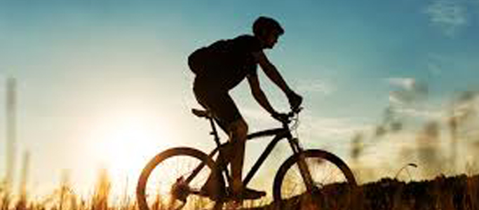 Bicyclist on a Trail
